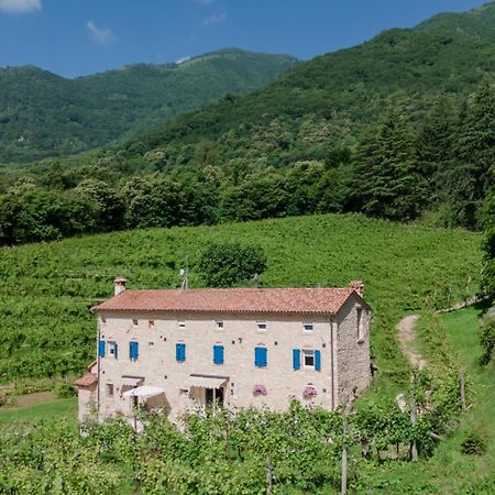 Agriturismo Podere Del Bosc Valmareno Экстерьер фото