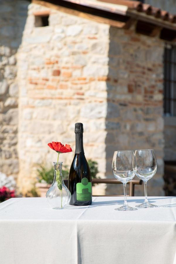 Agriturismo Podere Del Bosc Valmareno Экстерьер фото