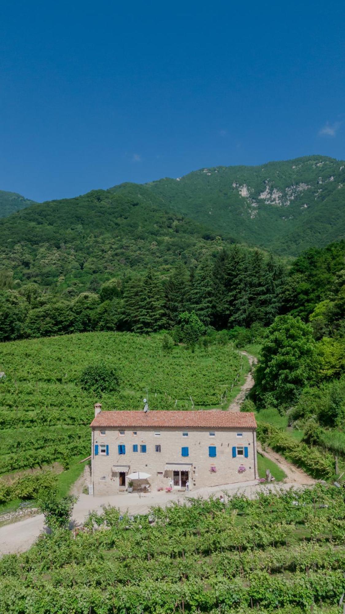 Agriturismo Podere Del Bosc Valmareno Экстерьер фото